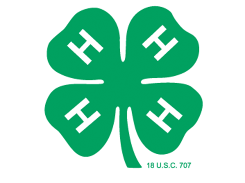 2024 St Joseph County 4H Fair